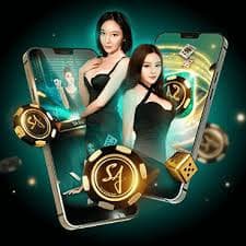 Pengalaman bermain bosku777 dengan sportsbook dan live casino